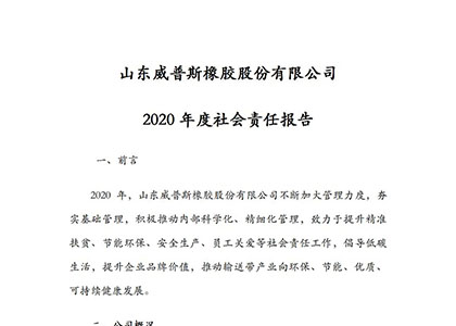 2020年度社會(huì)責(zé)任報(bào)告